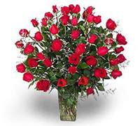  Florero 48 Rosas rojas imp. decoradas con helecho y ghipsofila (Regalos Flores .com.ar) 