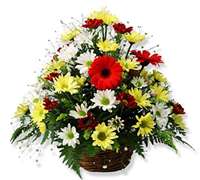  Arreglo floral con gerberas y margaritas decorado con ghipsofila (Regalos Flores .com.ar) 